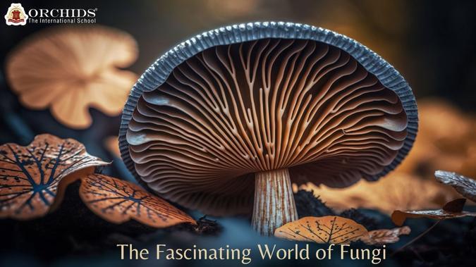 The Fascinating World of Fungi