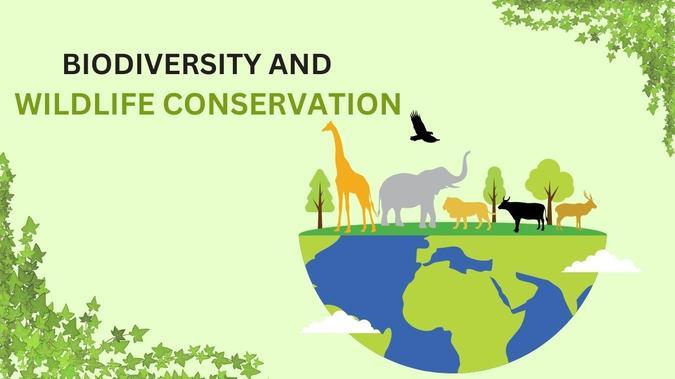 Wildlife Conservation