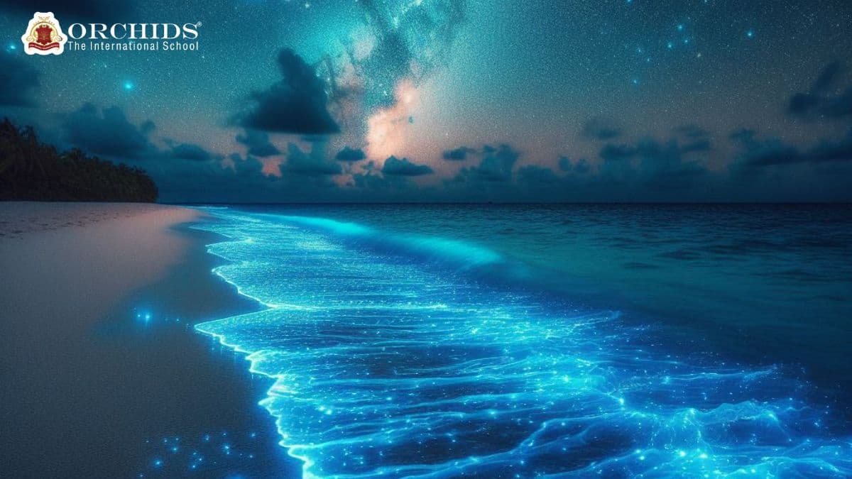 Bioluminescence in Oceans