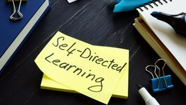 The Importance of Self-Directed Learning in Early Education