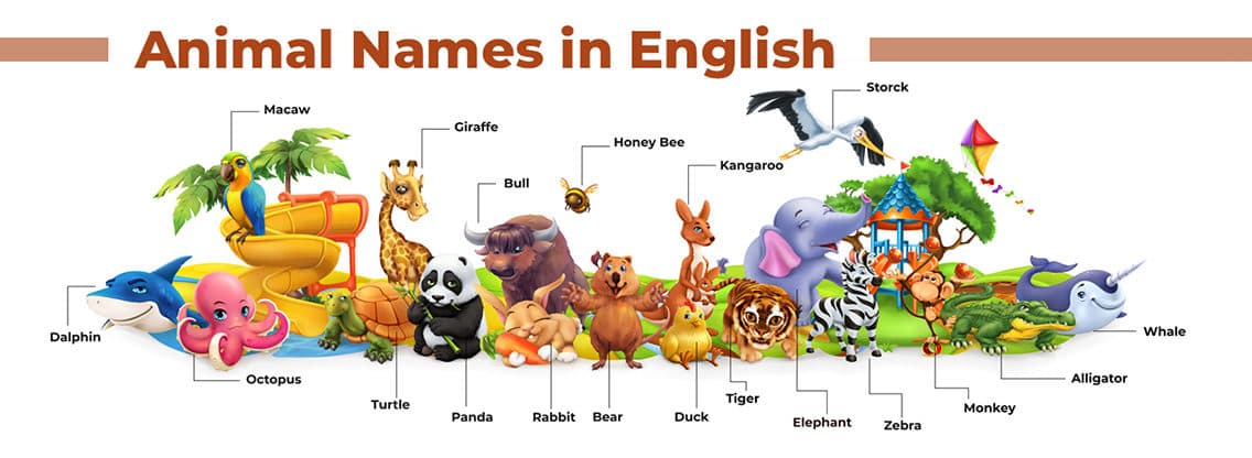 Animal Names in English