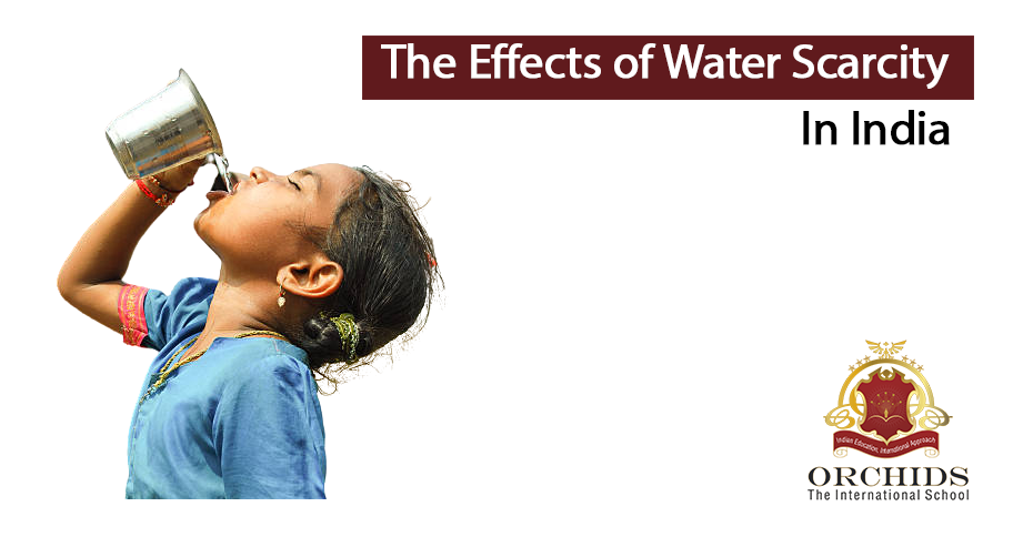 Out Of Water: The Effects Of The Water Scarcity In India