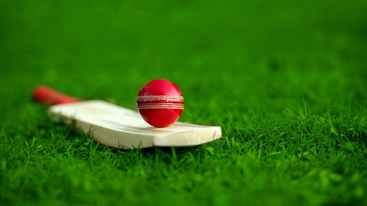 A Guide On Dead Ball In Cricket Cricket Dead Ball