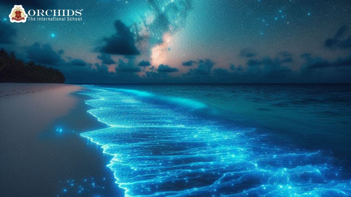 Bioluminescence in Oceans Bioluminescence