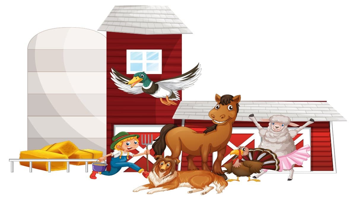 Understanding Donkey Homes: From Stables to Shelters donckey house