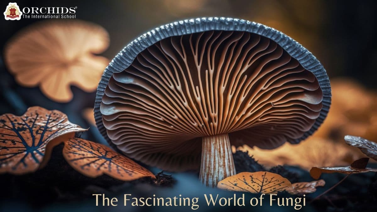 The Fascinating World of Fungi Fungi