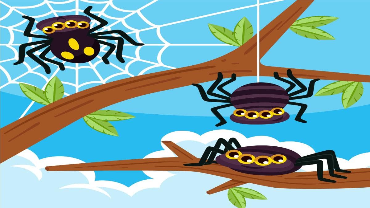 Unraveling the Web: Home of Spiders Unraveling the Web: Home of Spiders