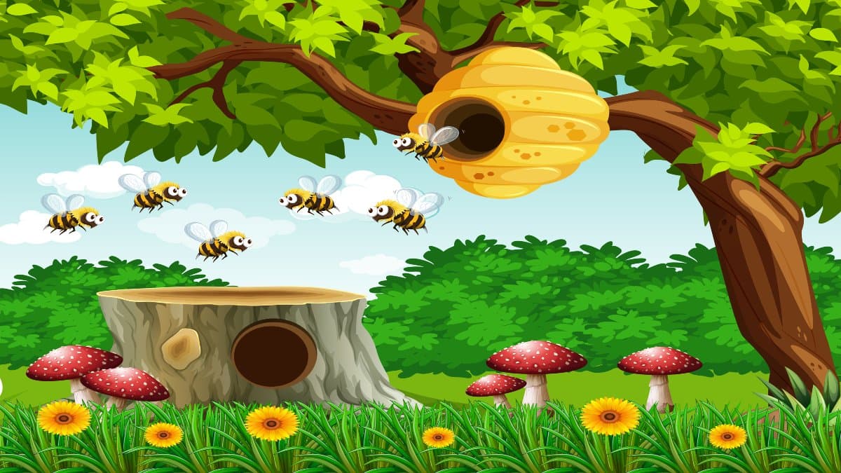 Bee Hive: Exploring the Structure of a Honey Bee Home Honeybee home