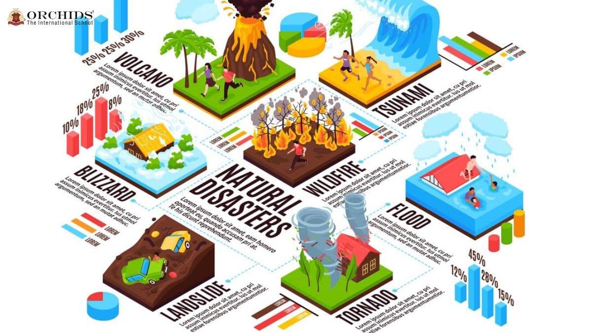 The Impact of Natural Disasters Natural Disasters