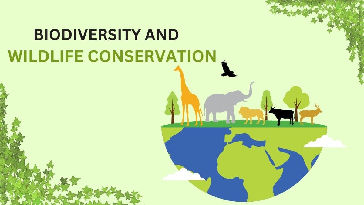 What is Biodiversity and Wildlife Conservation for Kids? Wildlife Conservation