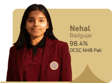 Nehal Badgujar CBSE Topper 98.4 Nehal Badgujar CBSE Topper 98.4
