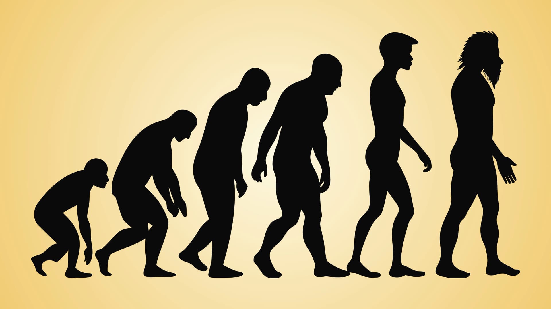 Seven million years in the making: The story of human evolution Human evolution