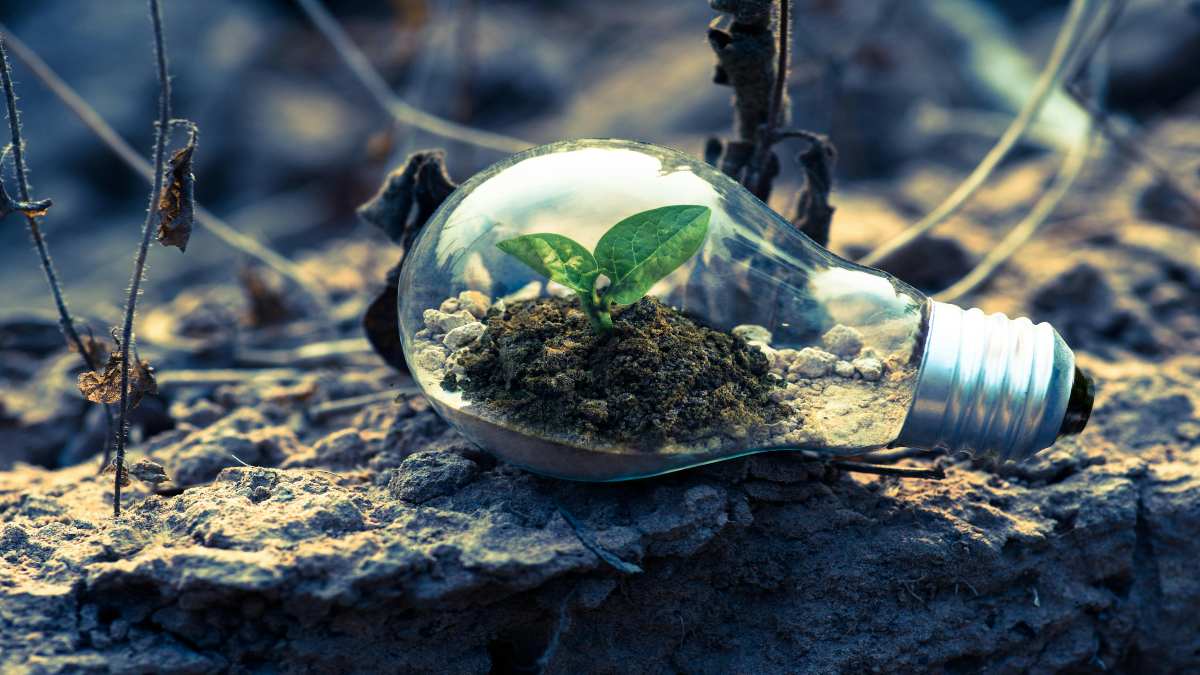 Building a Growth Mindset: Helping Preteens Embrace Challenges