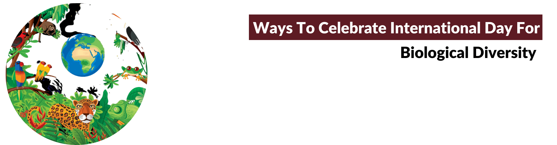 10 Exhilarating Ways To Teach Kids About Biodiversity! Biodiversity