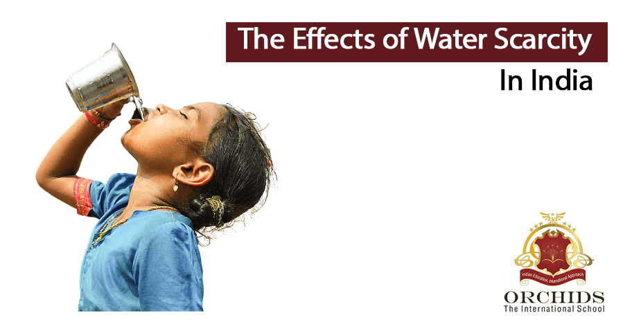 Out Of Water: The Effects Of The Water Scarcity In India Effects Of The Water Scarcity In India